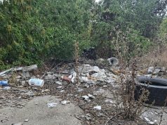 Sancțiuni în valoare totală de 184.000 de lei pentru terenuri necosite și cu ambrozie