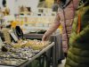 Eco Shop de Toamnă, tururi ghidate, ateliere creative și reconectare cu comunitatea din Fabric