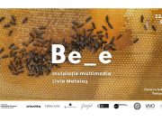 Instalația multimedia a artistei Livia Mateiaș, la Casa cu Iederă din Timișoara