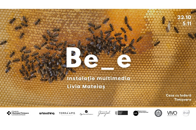 Instalatia multimedia a artistei Livia Mateias, la Casa cu Iedera din Timisoara