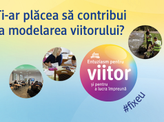 Votează pentru tinerii din Timiș. Lab for Skills, proiectul PLAI, primește 25.000 de lei și intră în finala programului Entuziasm pentru viitor